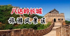 操操鸡1中国北京-八达岭长城旅游风景区